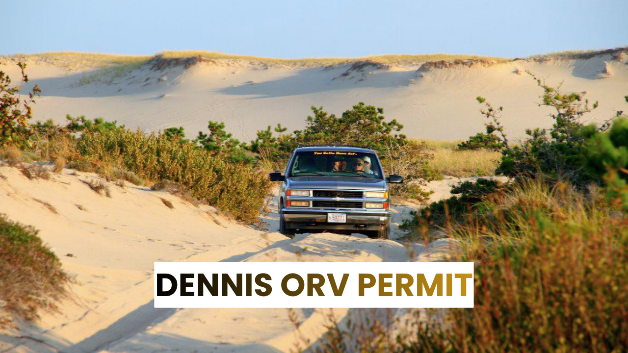 dennis orv permit dennis orv permit